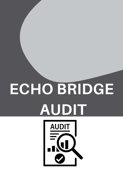 ECHO Bridge Audit.png