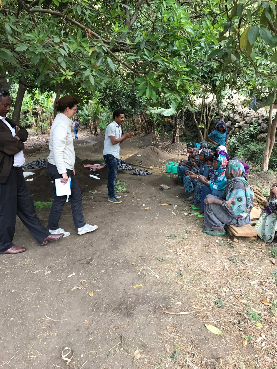 During an audit in 2017, Ethiopia