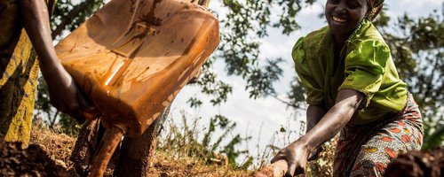 ADRA_Denmark_Malawi_Farming.jpg