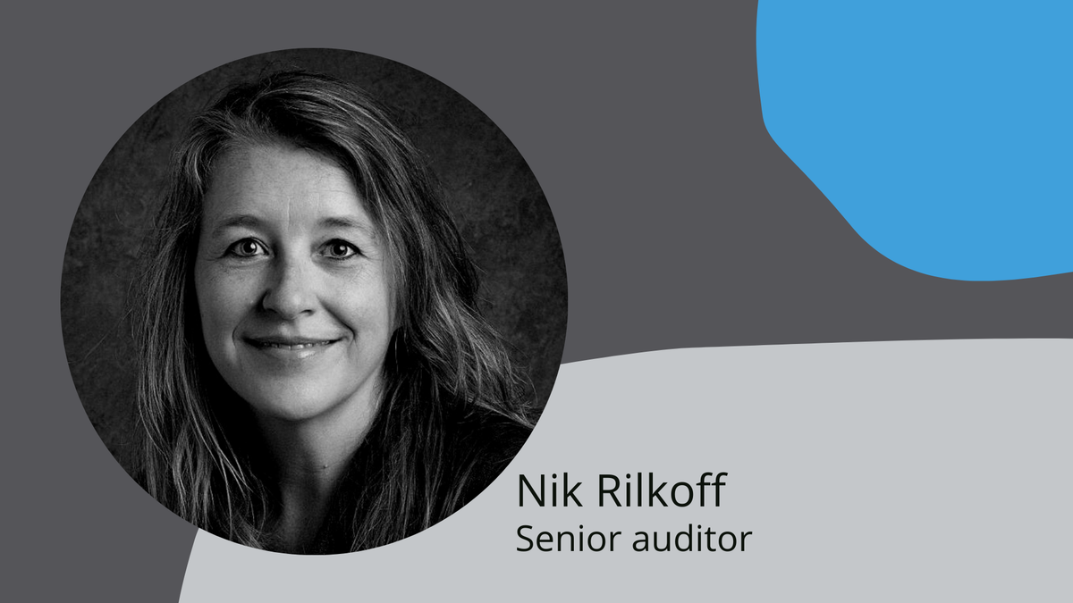 Nik Rilkoff Auditor