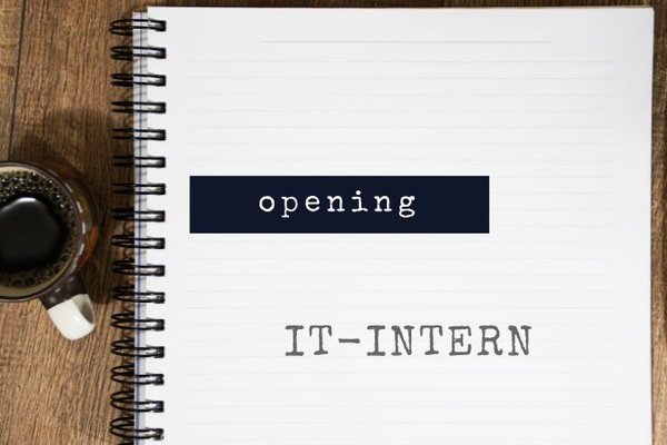 WEB_IT intern
